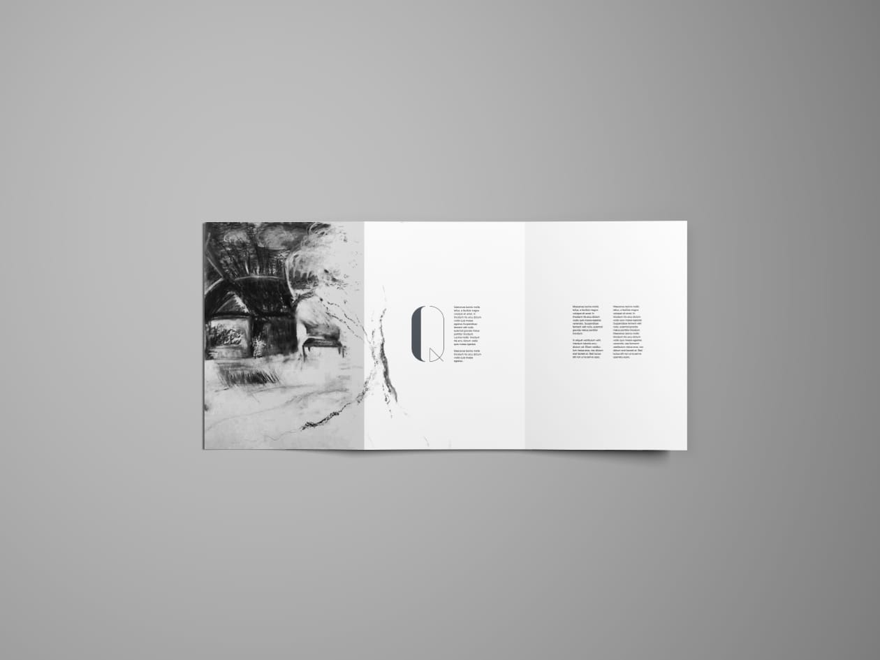 Read more about the article Graphics